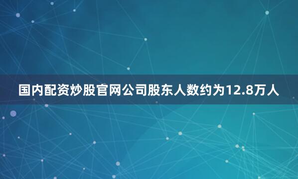 国内配资炒股官网公司股东人数约为12.8万人
