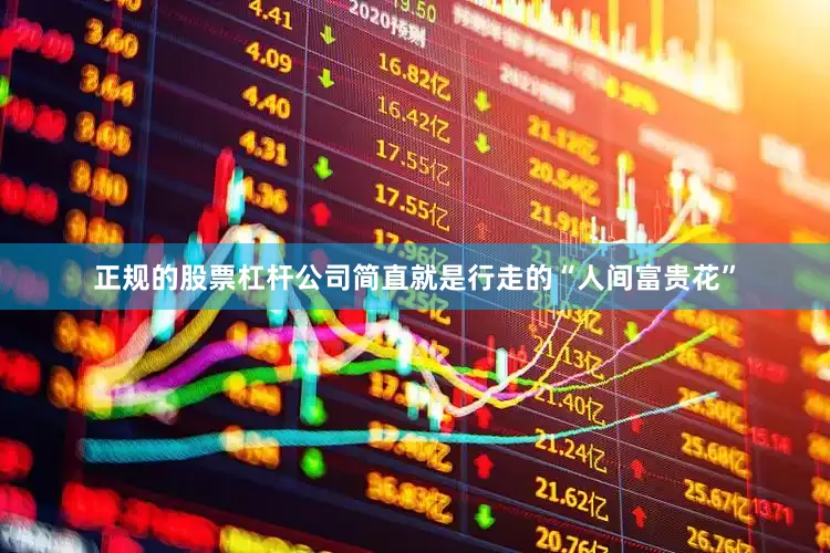 正规的股票杠杆公司简直就是行走的“人间富贵花”